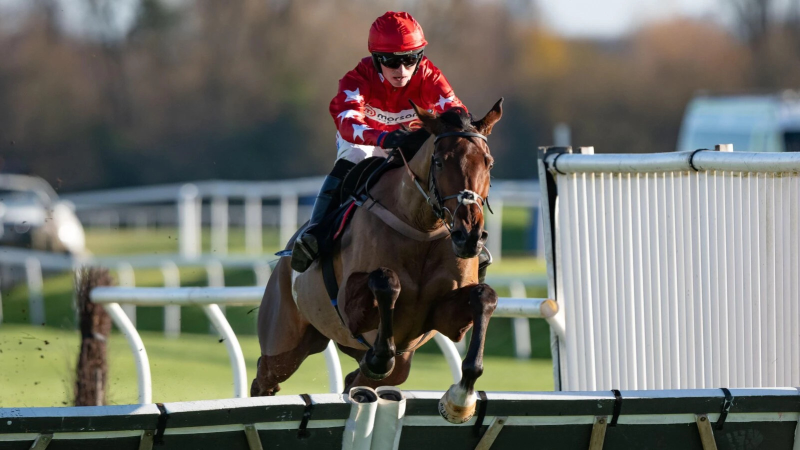 10 National Hunt Horses to Follow for the 2025/26 Season