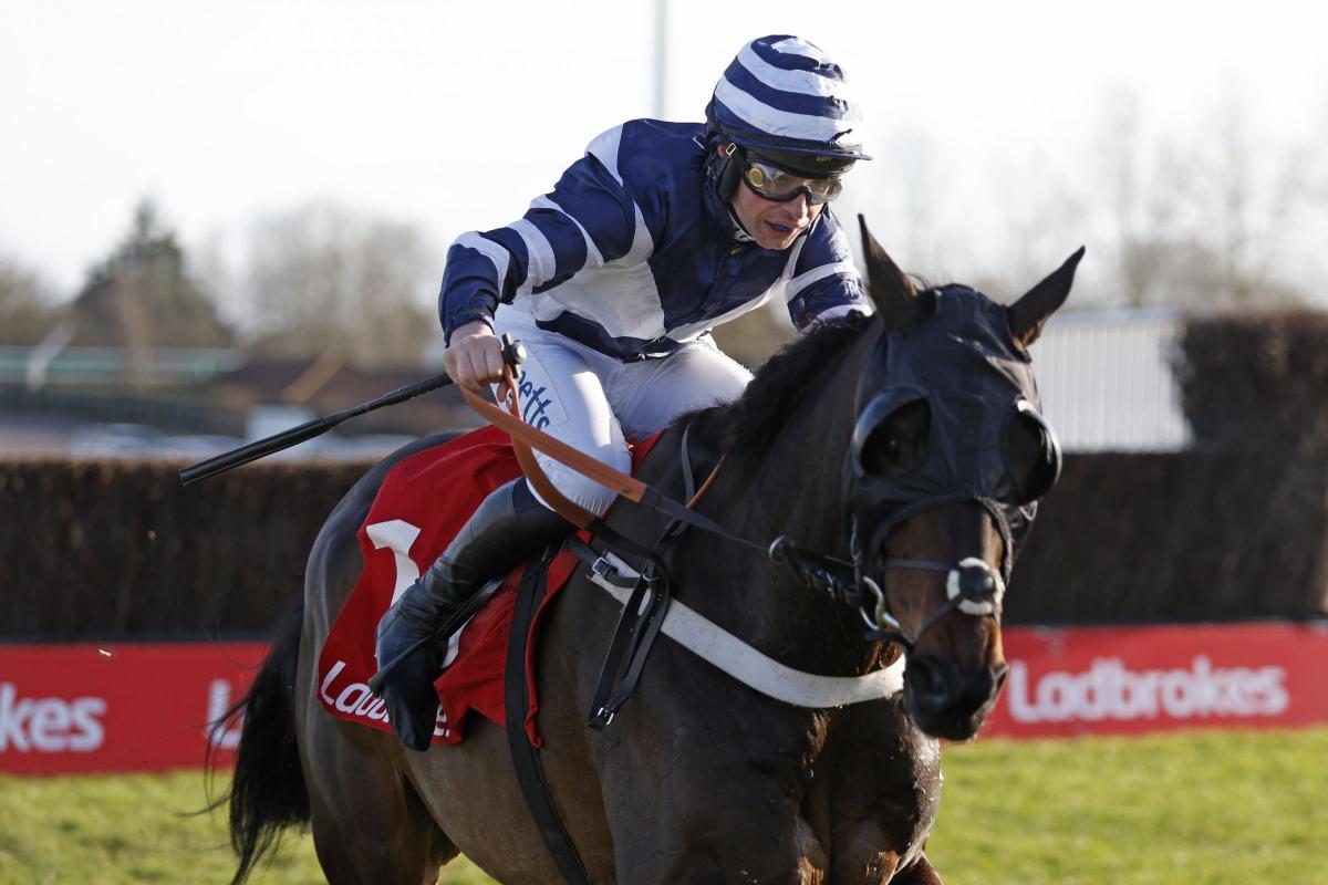 Race Selections Saturday 8th November: Aintree & Wincanton