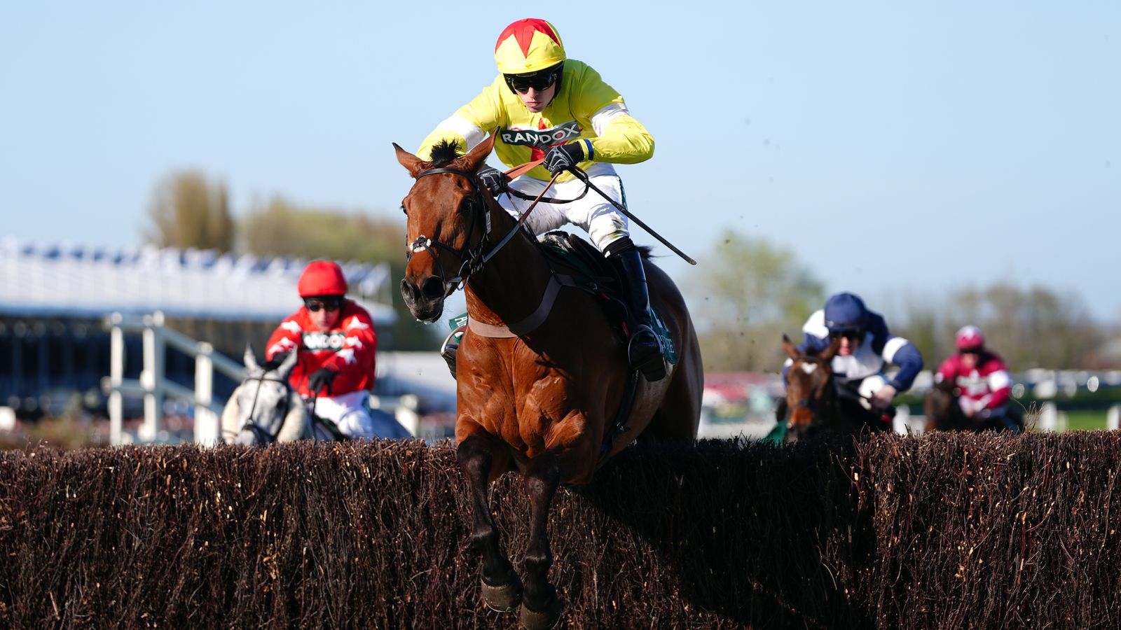 Exeter’s Haldon Gold Cup Chase Trends & Selection